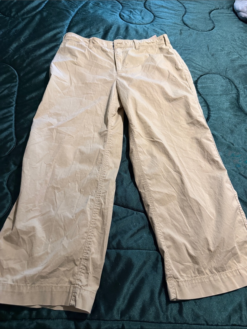 Chico's Beige Pants.